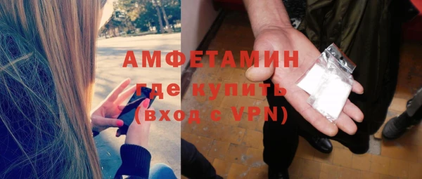 мдпв Елабуга