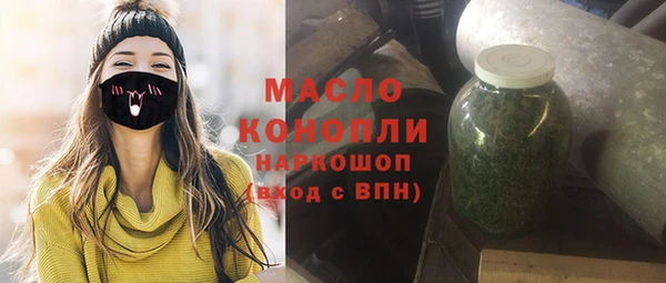 мдпв Елабуга