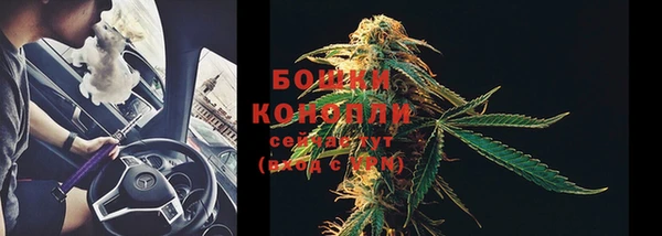прущая мука Ельня