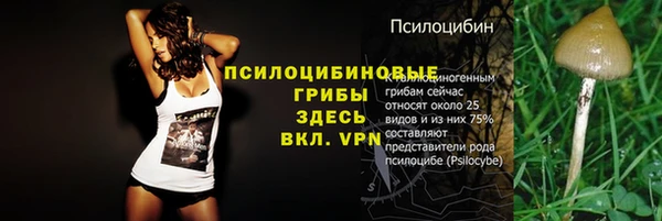 прущие крисы Дмитровск