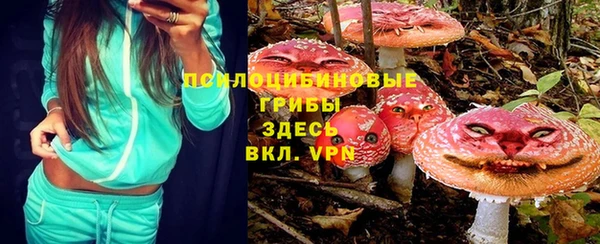 прущая мука Ельня
