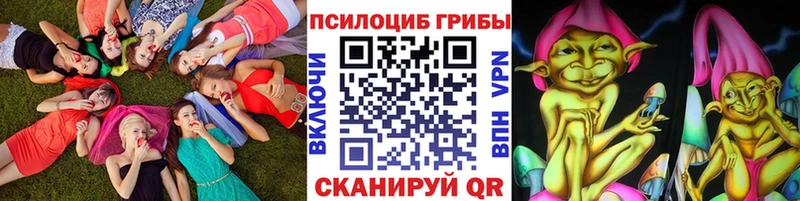 где купить наркотик  Луховицы  Галлюциногенные грибы мицелий 