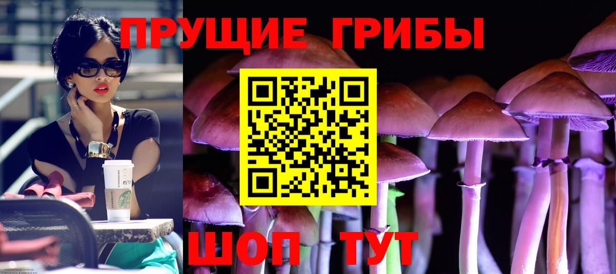 Галлюциногенные грибы Cubensis Луховицы